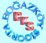BOĞAZKÖY SİGORTA ARACILIK HİZMETLERİ LİMİTED ŞİRKETİ