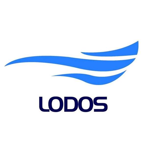 LODOS YAPI DENETİM LİMİTED ŞİRKETİ