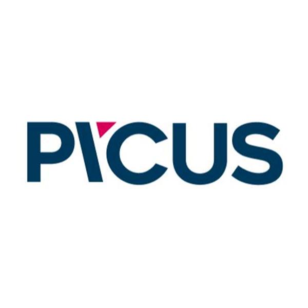PİCUS BİLİŞİM GÜVENLİK TİCARET ANONİM ŞİRKETİ