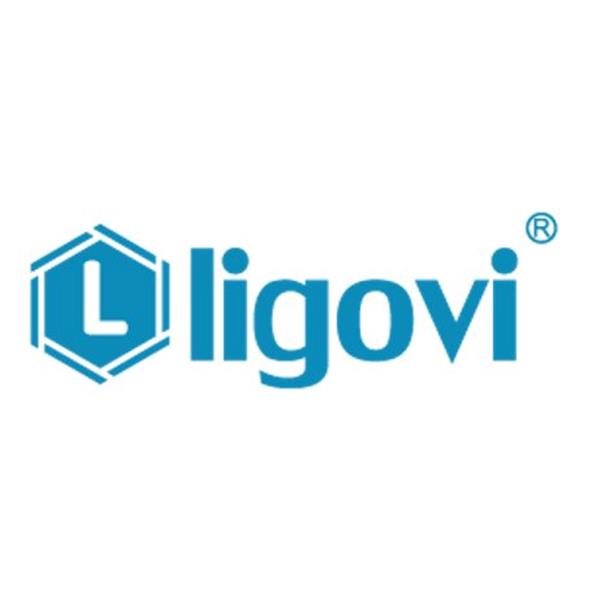 LİGOVİ ELEKTRONİK MAĞAZACILIK ANONİM ŞİRKETİ