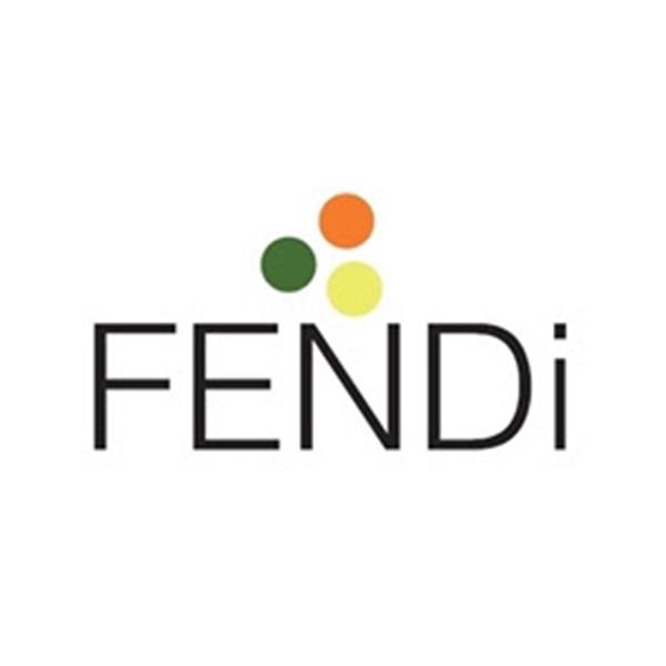 FENDİ TEKSTİL MİMARLIK İNŞAAT SAVUNMA SANAYİ VE TİCARET LİMİTED ŞİRKETİ