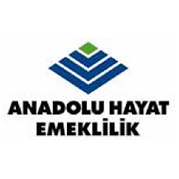 ANADOLU HAYAT EMEKLİLİK ANONİM ŞİRKETİ İSTANBUL ANADOLU BÖLGE SATIŞ MÜDÜRLÜĞÜ ŞUBESİ