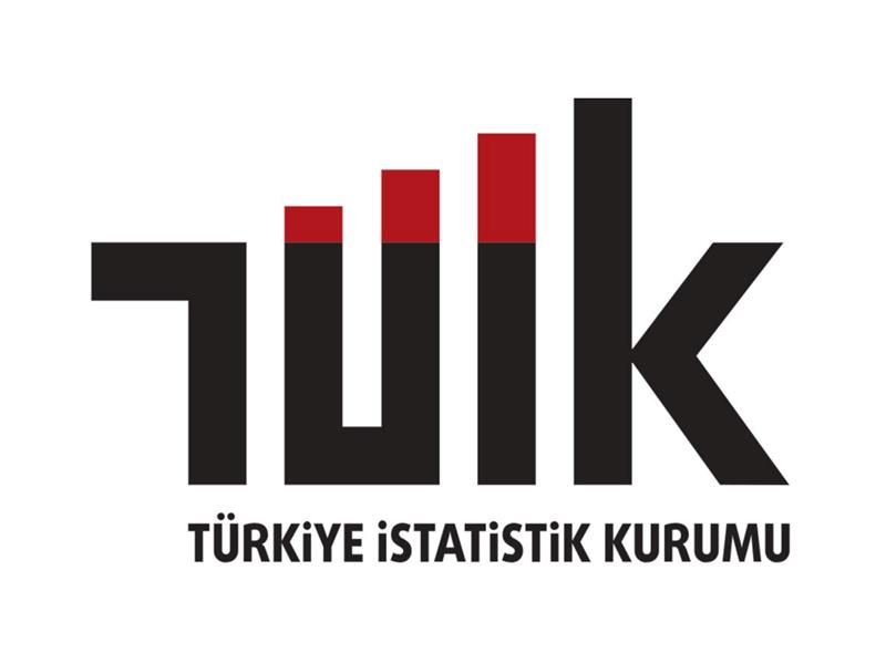 Yurt İçi Üretici Fiyat Endeksi, Temmuz 2025