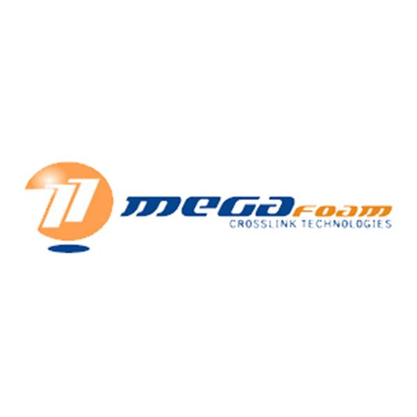 MEGA FOAM PLASTİK SANAYİ VE TİCARET ANONİM ŞİRKETİ İSTANBUL ŞUBESİ