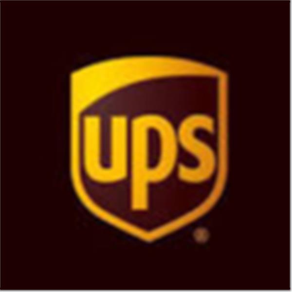 UPS HIZLI KARGO TAŞIMACILIĞI ANONİM ŞİRKETİ İSTANBUL HAVALİMANI ŞUBESİ