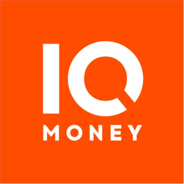 IQ MONEY ÖDEME HİZMETLERİ VE ELEKTRONİK PARA ANONİM ŞİRKETİ