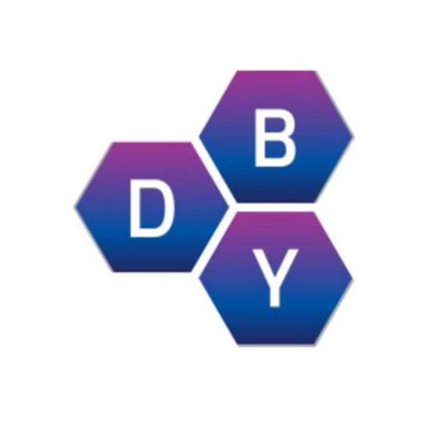 Dby Danışmanlık Limited Şirketi