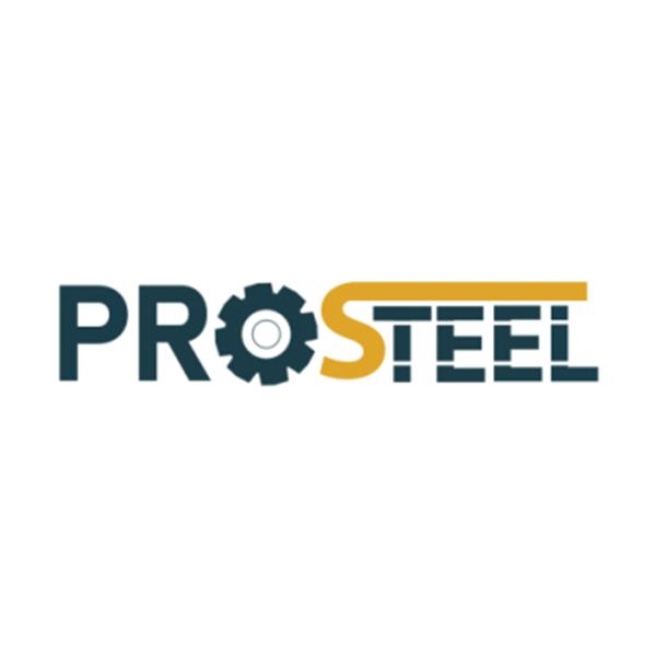 PRO STEEL MAKİNA VE KALIPLARI SANAYİ TİCARET LİMİTED ŞİRKETİ