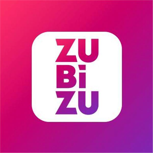 ZUBİZU BİLİŞİM HİZMETLERİ ANONİM ŞİRKETİ