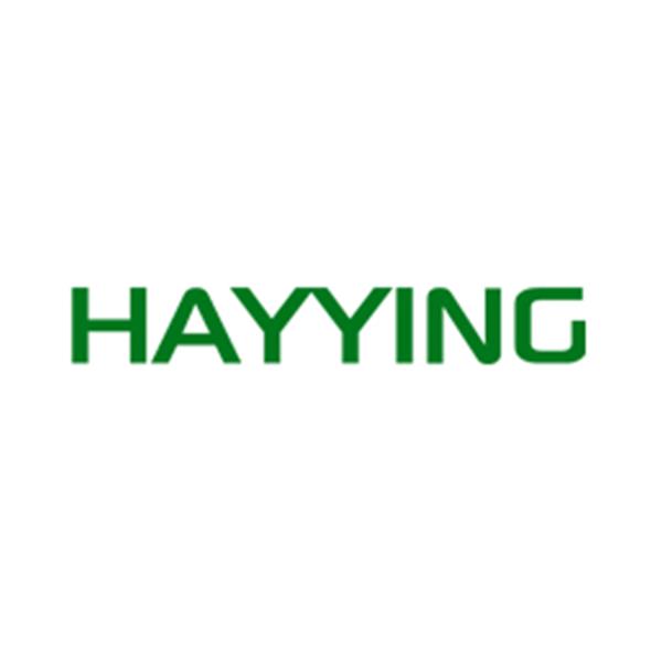 HAYYING KOZMETİK VE SAĞLIK HİZMETLERİ ANONİM ŞİRKETİ