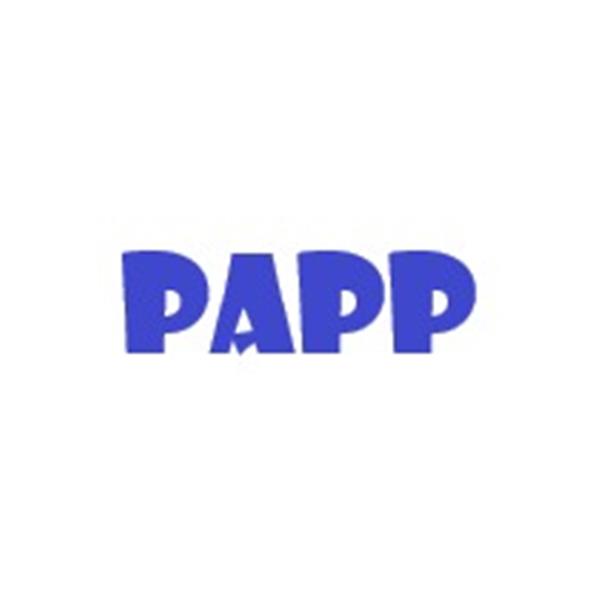 Papp Yazılım Hizmetleri Limited Şirketi