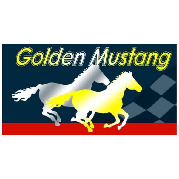 RAIED HERMIZ GOLDEN MUSTANG PETROLEUM USA