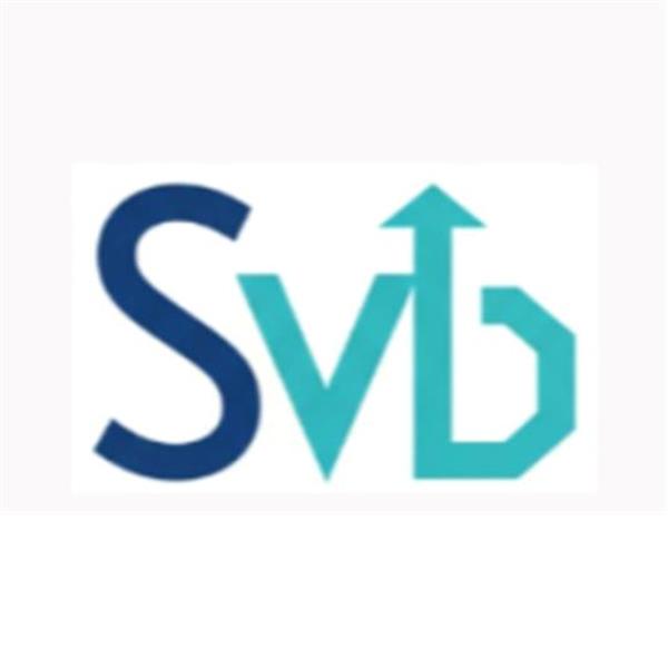 SVB YAZILIM DANIŞMANLIK HİZMETLERİ LİMİTED ŞİRKETİ