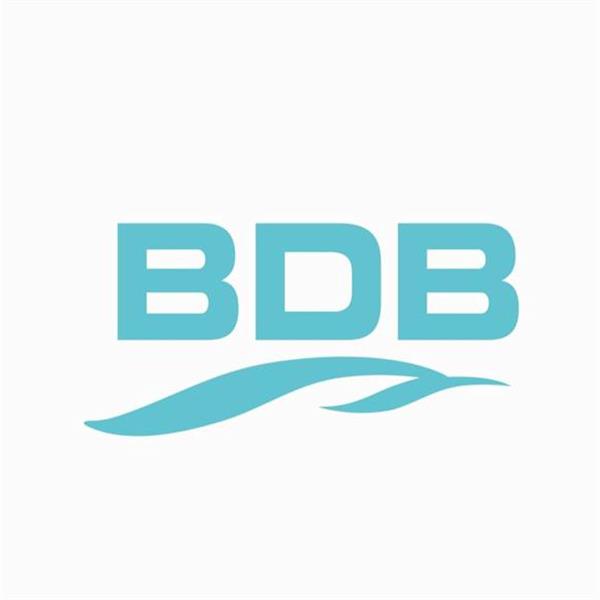 BDB METAL VE SAVUNMA SANAYİ TİCARET LİMİTED ŞİRKETİ İSTANBUL ŞUBESİ