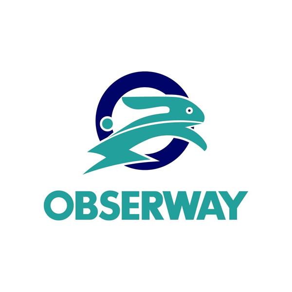 OBSERWAY YAZILIM VE DANIŞMANLIK HİZMETLERİ LİMİTED ŞİRKETİ