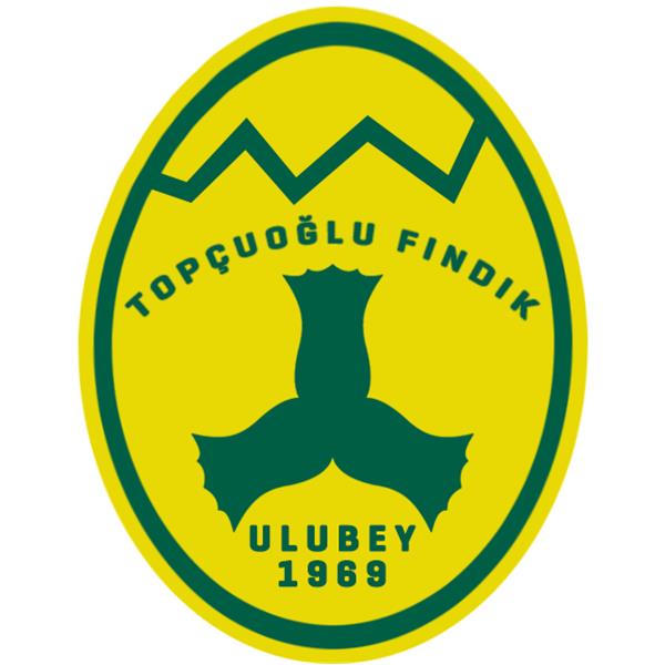 TOPÇUOĞLU FINDIK GIDA İNŞAAT NAKLİYE OTOMOTİV SANAYİ VE TİCARET LİMİTED ŞİRKETİ