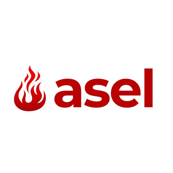 ASEL ŞÖMİNE VE BARBEKÜ