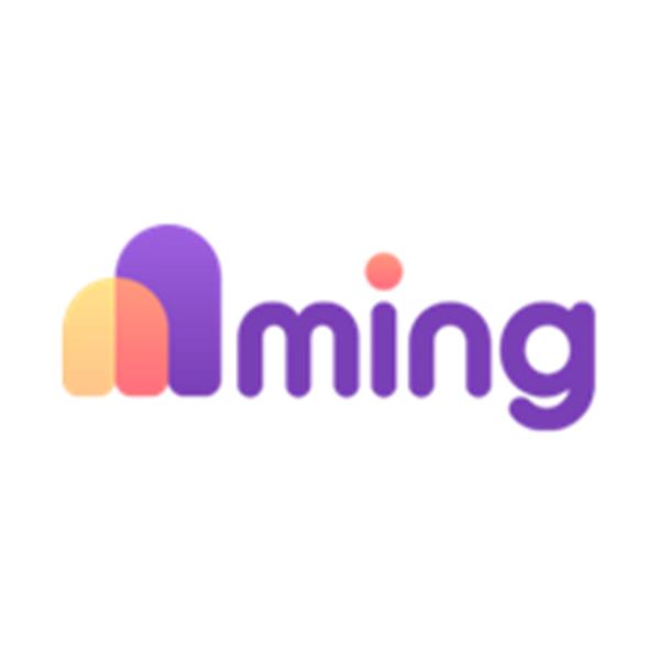 MİNG TEKNOLOJİ ANONİM ŞİRKETİ