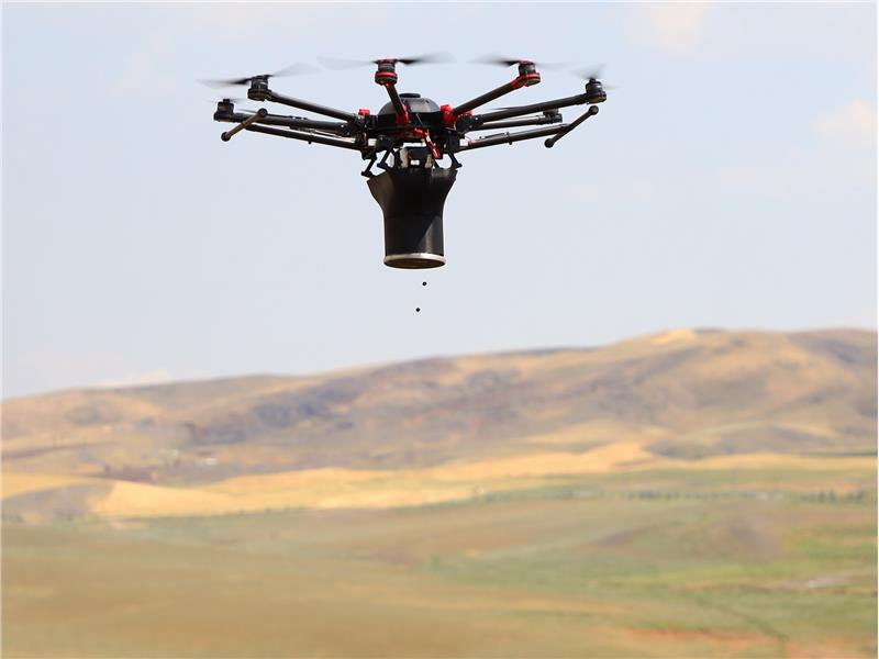 Drone'lar sayesinde DHL Ormanı Ankara'da büyümeye devam ediyor