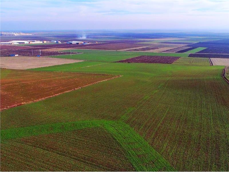 TEMA Vakfı’ndan Alpu Kömürlü Termik Santral Projesi açıklaması