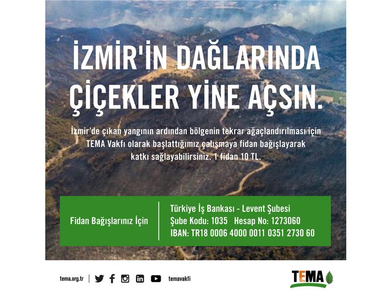 TEMA Vakfı: İzmir için fidan bağışlarınızı bekliyoruz