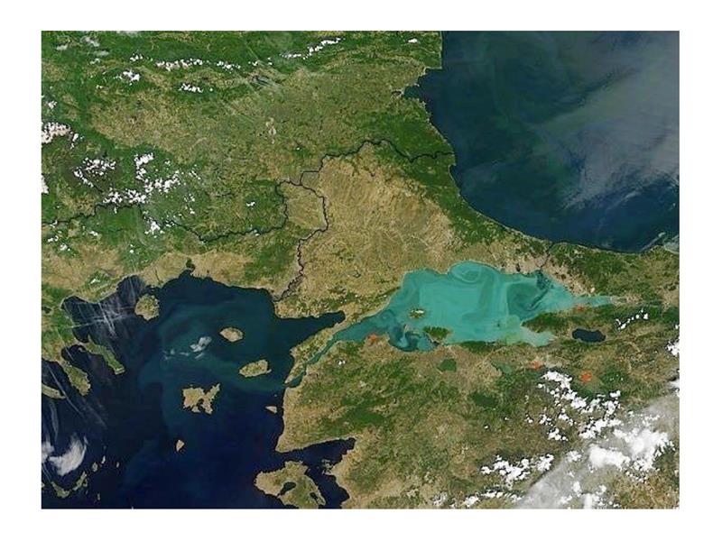 TEMA Vakfı Kanal İstanbul Projesi’nin riskleri ve muhtemel sonuçları toplumla paylaşılmalı