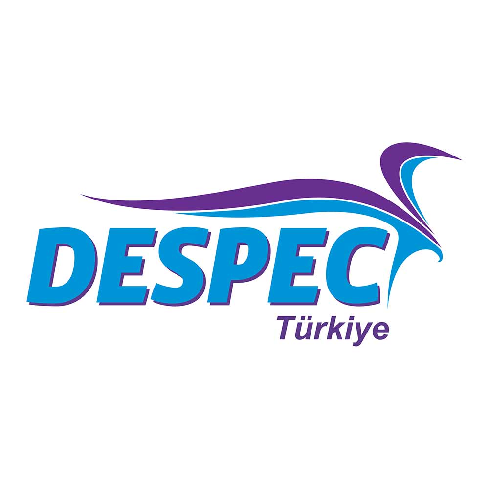 DESPEC BİLGİSAYAR PAZARLAMA VE TİCARET ANONİM ŞİRKETİ