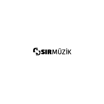 SIR MÜZİK ORGANİZASYON PRODÜKSİYON MENEJERLİK VE STÜDYO TİCARET LİMİTED ŞİRKETİ