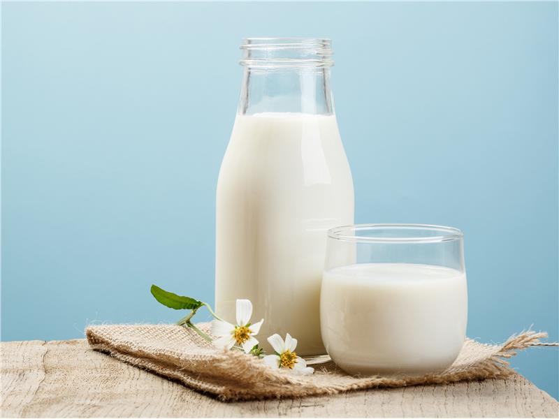 Kemik Sağlığı ve Güçlü Bir Bağışıklık için Süt İçmeyi İhmal Etmeyin!