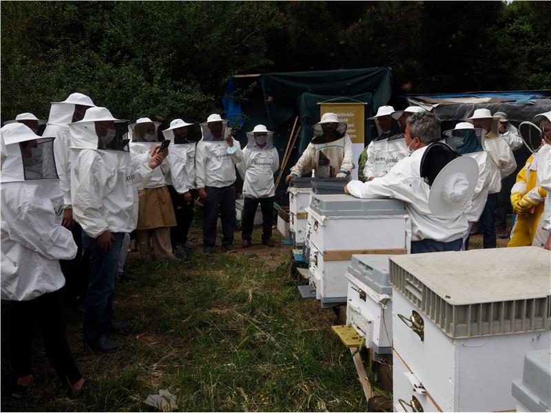 Balparmak Arıcılık Akademisi ile İstanbul İli Arı Yetiştiricileri Birliği  İstanbul’a Yeni Arıcılar Kazandırdı