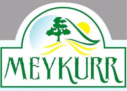 MEYKURR LOJİSTİK TAŞIMACILIK VE DEPOCULUK HİZMETLERİ GIDA SANAYİ VE TİCARET BEYAZ DAMAR