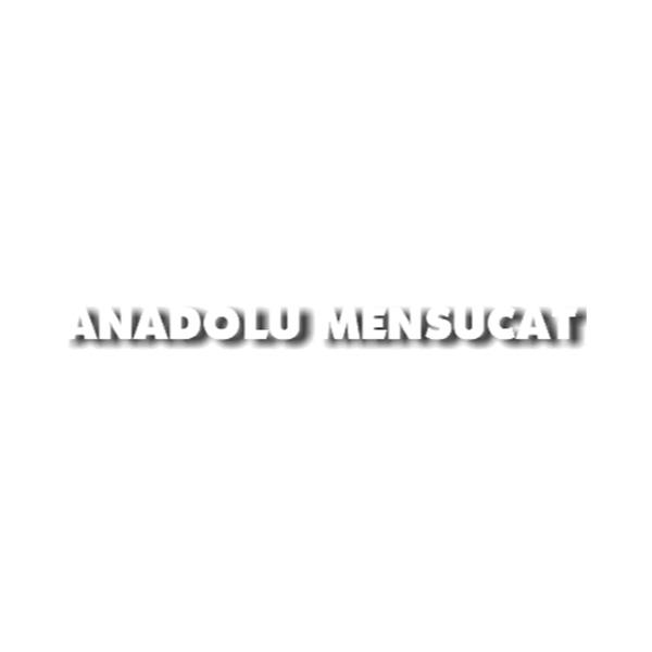 ANADOLU MENSUCAT TİCARET VE SANAYİ ANONİM ŞİRKETİ