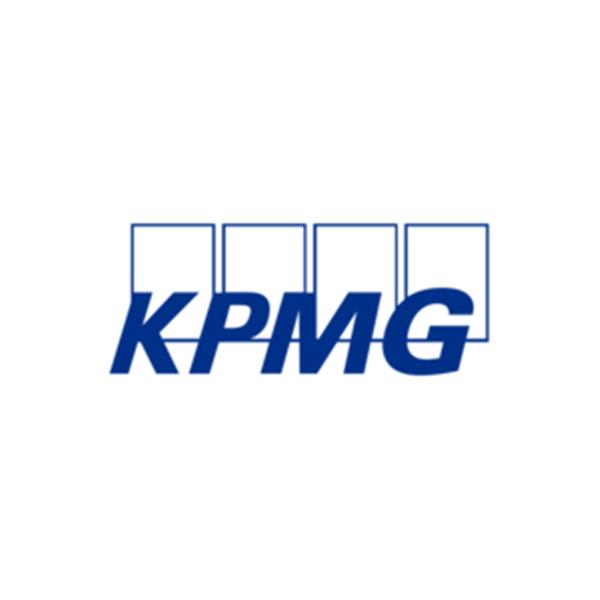 KPMG İŞ VE YÖNETİM DANIŞMANLIĞI ANONİM ŞİRKETİ