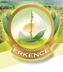 ERKENCE YAĞ VE SABUN LTD. ŞTİ